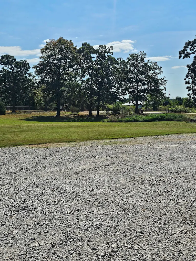 Clean edging and trimming by veteran-owned lawn care in Newport AR