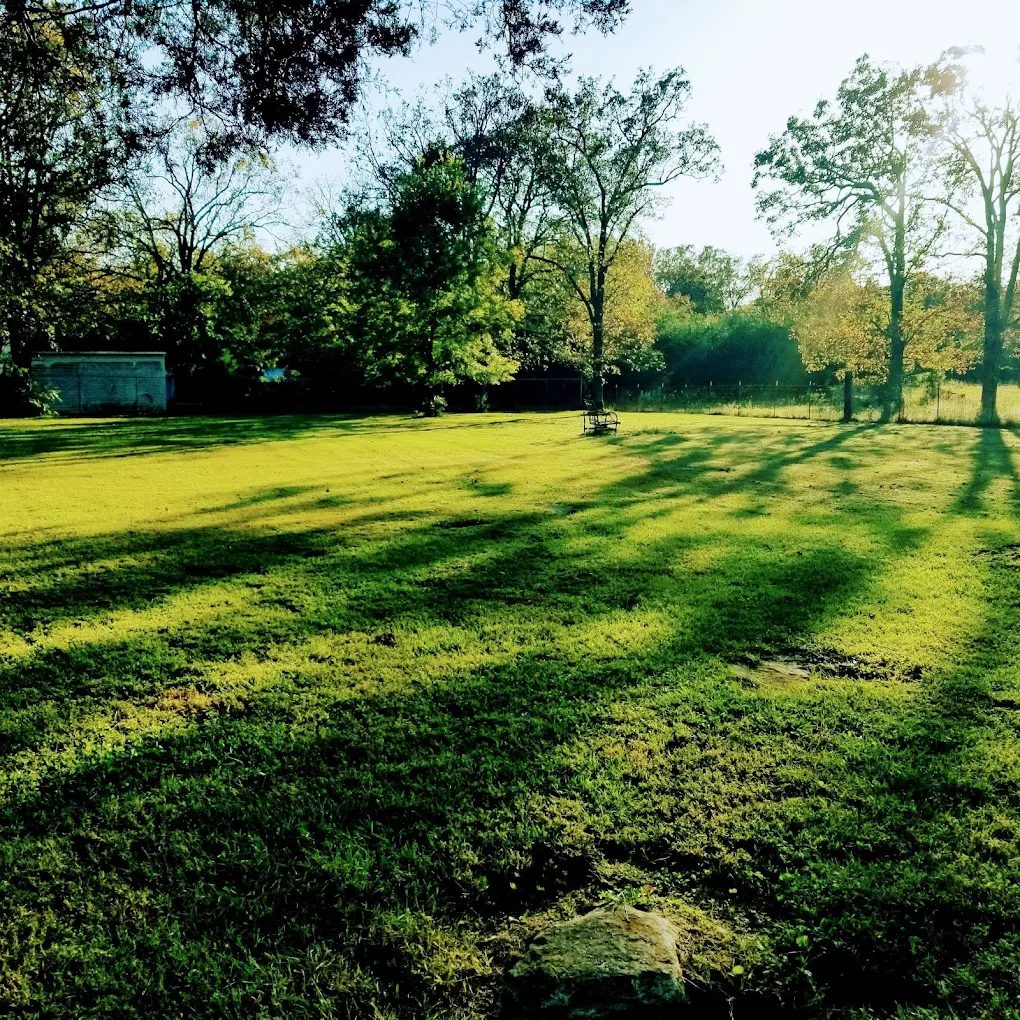 Seasonal yard cleanup and landscaping in Tuckerman AR